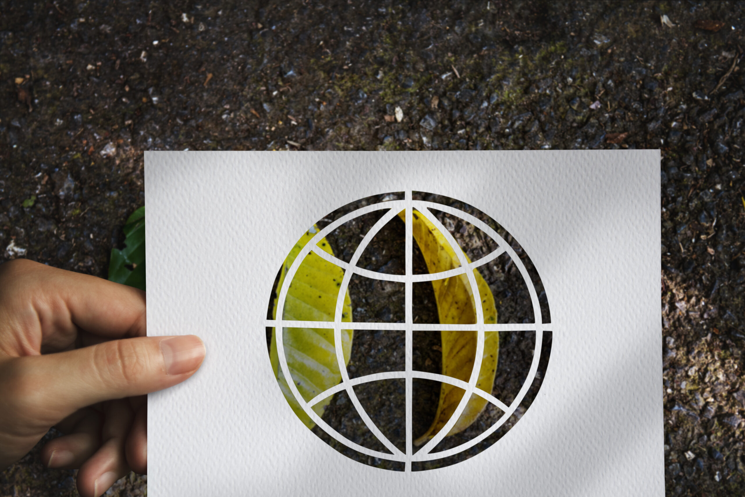 Carbon Footprint Calculation & Reporting Program Aligned with ISO 14064 Series & GHG Protocol