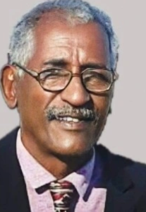 د. نور الدائم الخضر